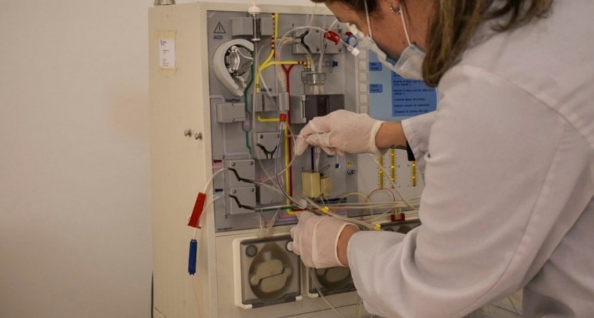Tres pacientes que recibieron plasma fueron dados de alta