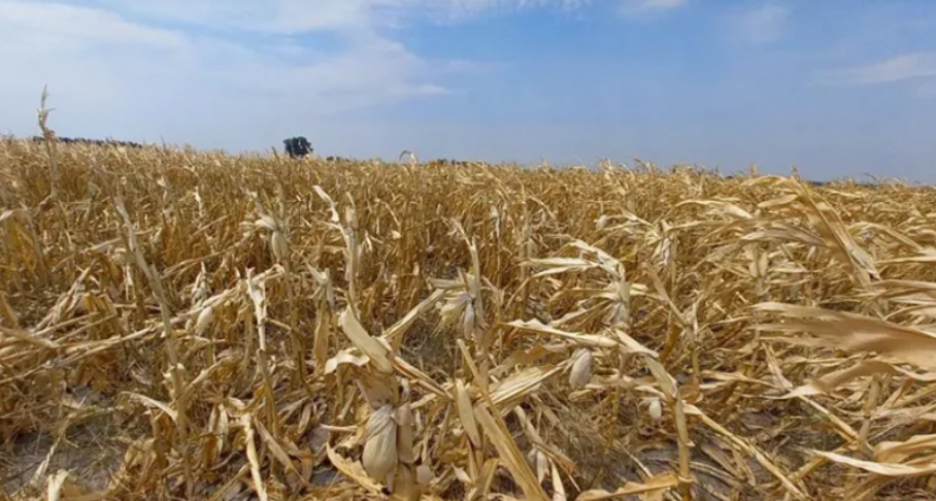 Santa Fe analiza prorrogar la emergencia agropecuaria por sequ&iacute;a hasta 2024