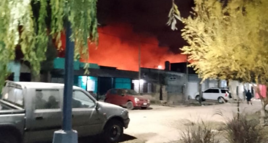 Importante incendio de pastizales 