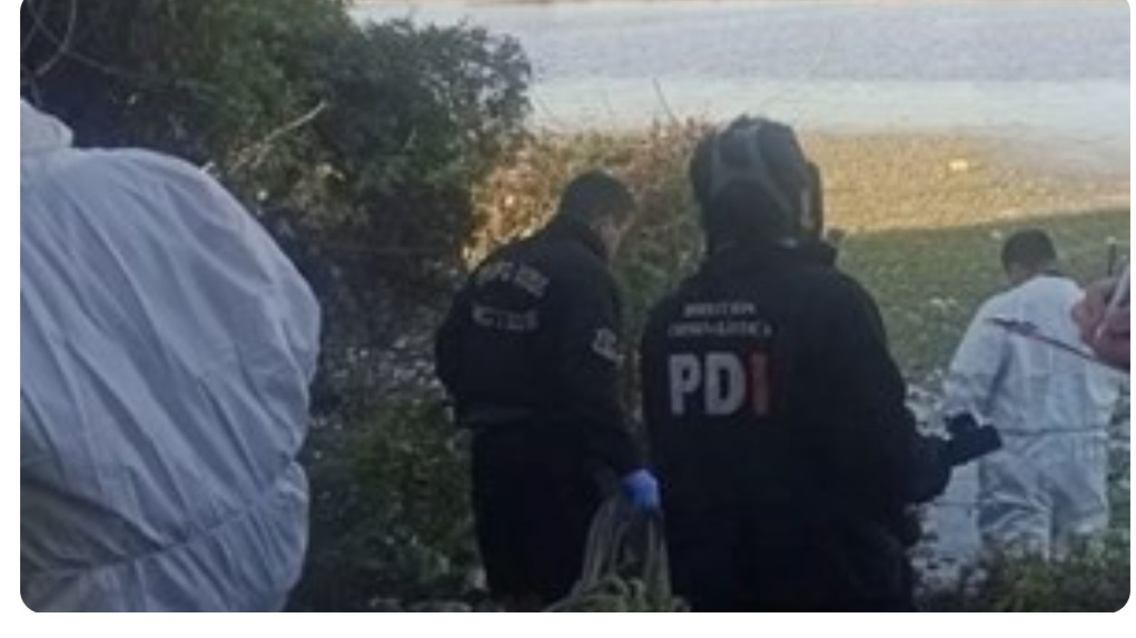 Macabro descubrimiento en Circunvalaci&oacute;n Oeste: hallan restos humanos