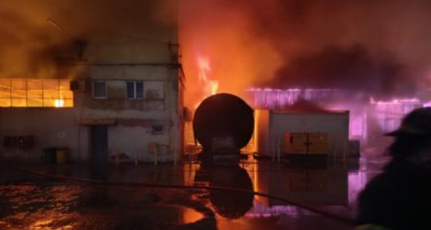 Da&ntilde;os totales por un incendio en la planta de Celulosa Moldeada