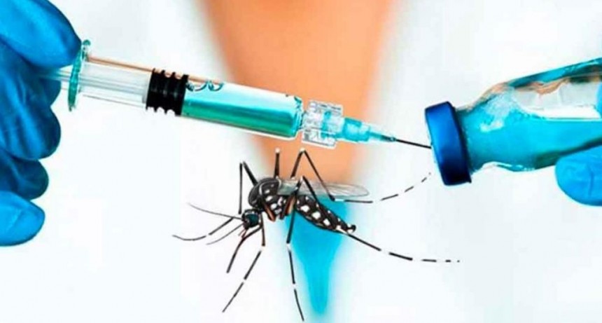 Dengue: Santa Fe comprar&aacute; las vacunas ante la demora de Naci&oacute;n