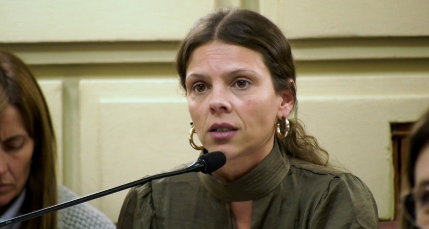Diputadas y diputados de Santa Fe exigen la sanción de una ley de financiamiento universitario