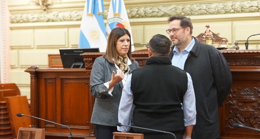 Clara Garc&iacute;a supervis&oacute; las tareas de adecuaci&oacute;n realizadas en la c&aacute;mara baja para albergar a la convenci&oacute;n constituyente