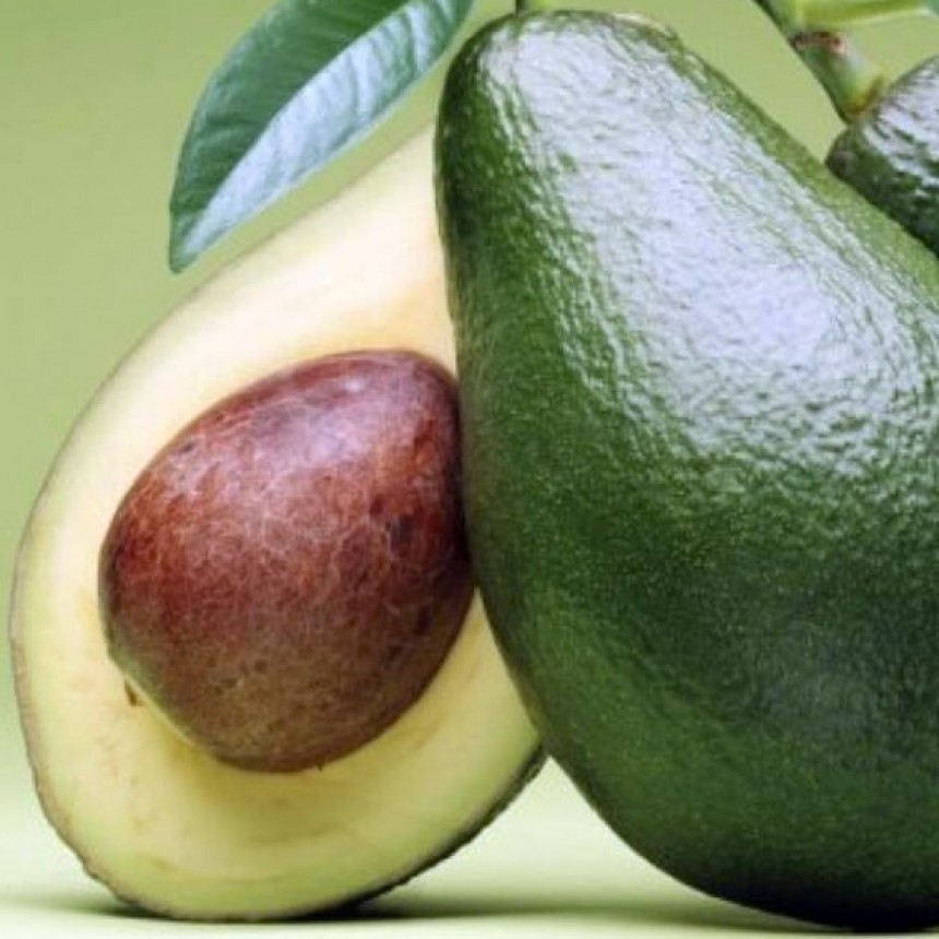 Descubren un nuevo beneficio para la salud que tendr&iacute;a la palta