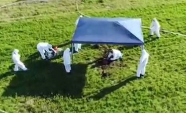 Se encontraron 8 cuerpos durante los rastrillajes por Anahí Benítez