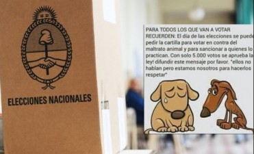 Un viral contra el maltrato animal busca impugnar el voto
