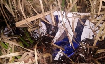 Confirman que hallaron "restos humanos" en la avioneta ca&iacute;da en el Delta