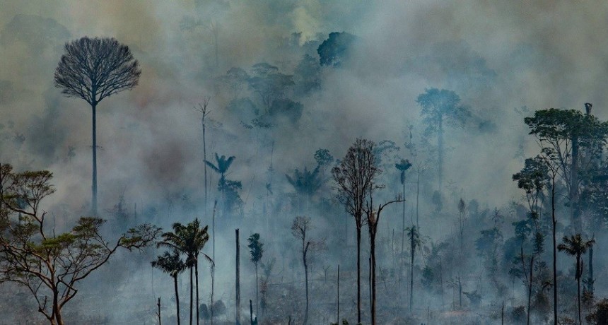 El G7 movilizar&aacute; 20 millones de d&oacute;lares para combatir el fuego en la Amazonia