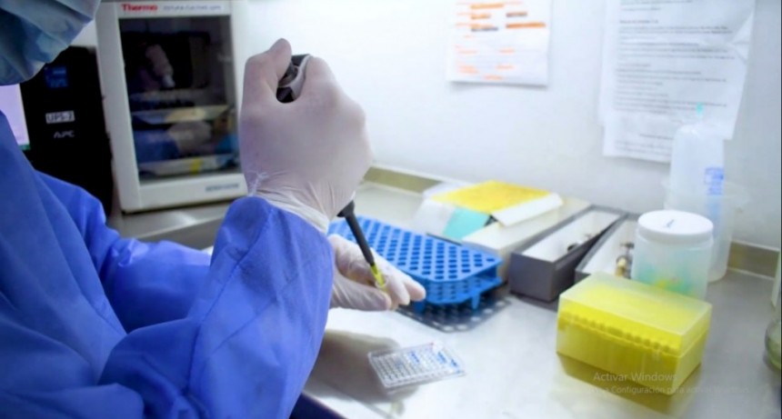 Destacan los tratamientos con plasma de pacientes recuperados de COVID-19