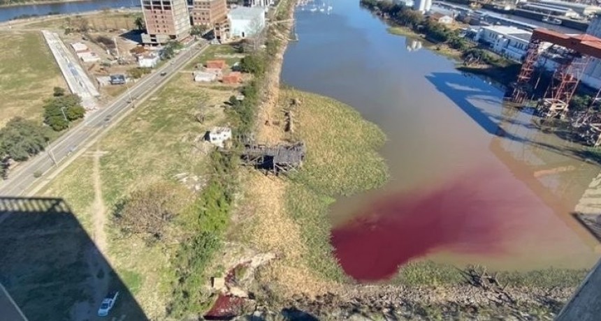 Parte de las aguas del Puerto se ti&ntilde;eron de violeta