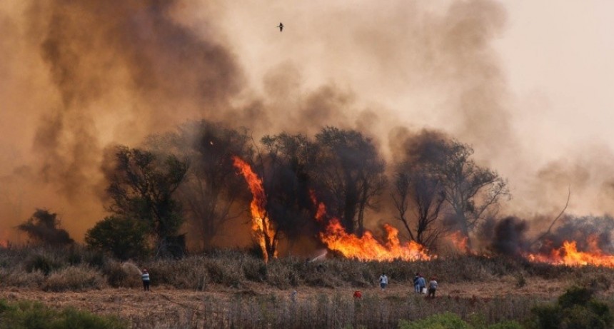 Rosario: Detuvieron a otra persona cuando intentaba iniciar dos focos de incendio en las islas