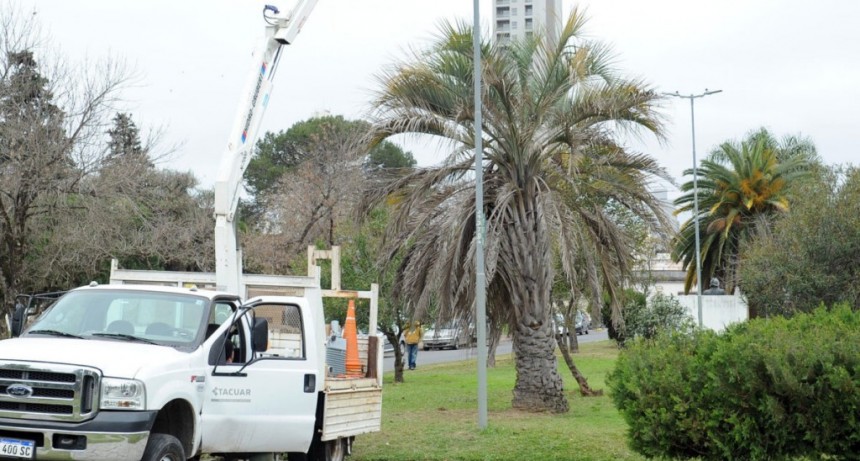 Trabajos de iluminaci&oacute;n y bacheo previstos para este mi&eacute;rcoles