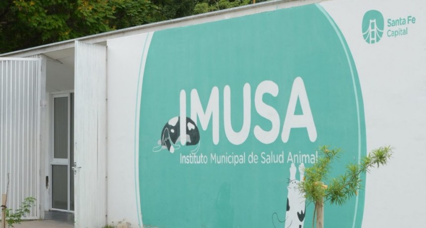 La Municipalidad suma un formulario online para registrar perros de razas peligrosas