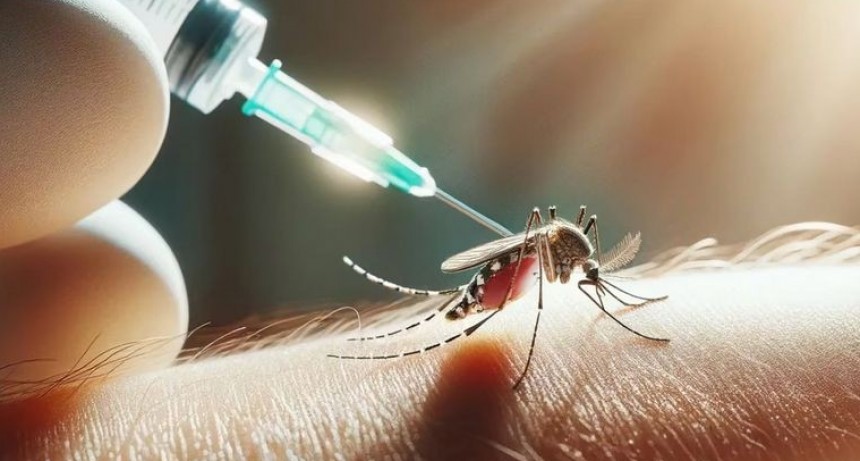 Santa Fe comprar&aacute; 160.000 vacunas contra el dengue: "Lo importante es prevenir"