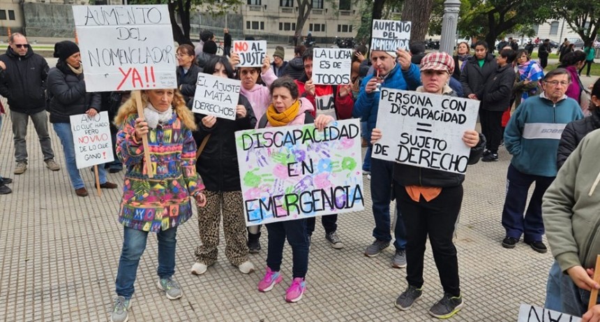 Un juez federal declar&oacute; inconstitucional el veto a la Ley de Emergencia en Discapacidad