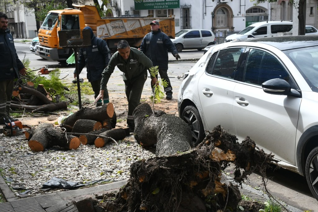 La tormenta tumb&oacute; 50 &aacute;rboles y postes en la ciudad de Santa Fe
