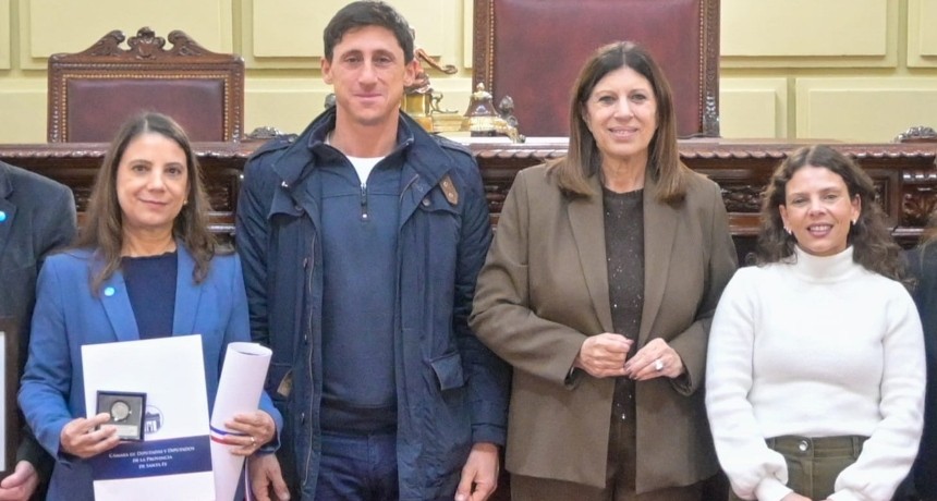 La Legislatura santafesina reconoci&oacute; a Unicef Argentina