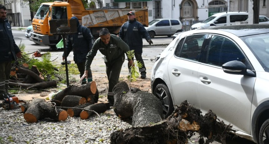 La tormenta tumb&oacute; 50 &aacute;rboles y postes en la ciudad de Santa Fe