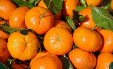 Niña muerta luego de comer una mandarina