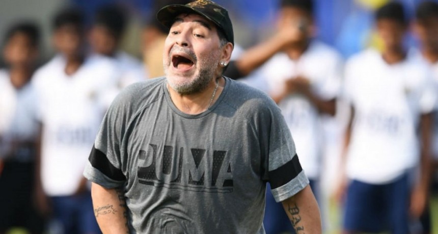 Maradona podr&iacute;a volver a ser DT