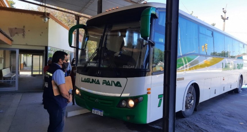 Transporte gratuito para las PASO y las elecciones generales