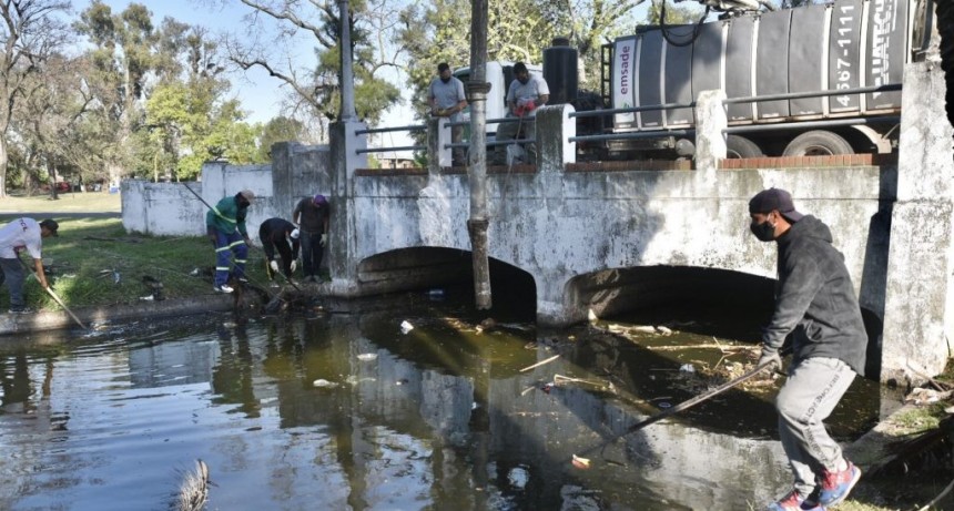 Comenz&oacute; el saneamiento y limpieza de los lagos del Parque Garay