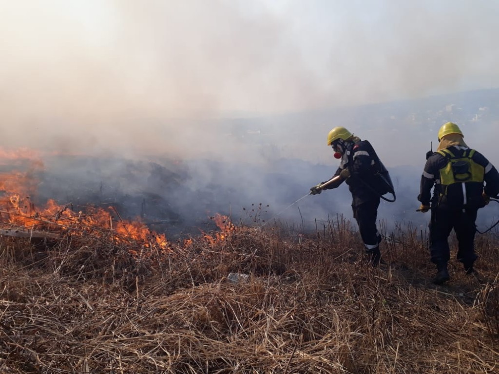 Santa Fe realizó una denuncia penal por incendios en un área protegida
