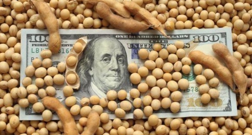 Proh&iacute;ben comprar divisa a los beneficiarios del d&oacute;lar - soja