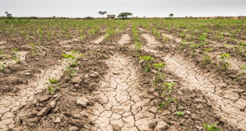 Fuerte impacto de la sequia en la Provincia de Santa Fe