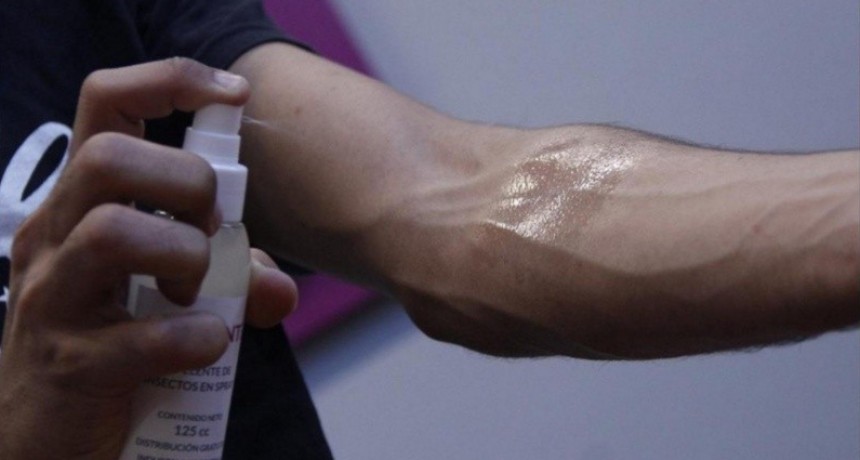 Vinieron los mosquitos y ya hay demanda de repelentes en farmacias: precios y opciones