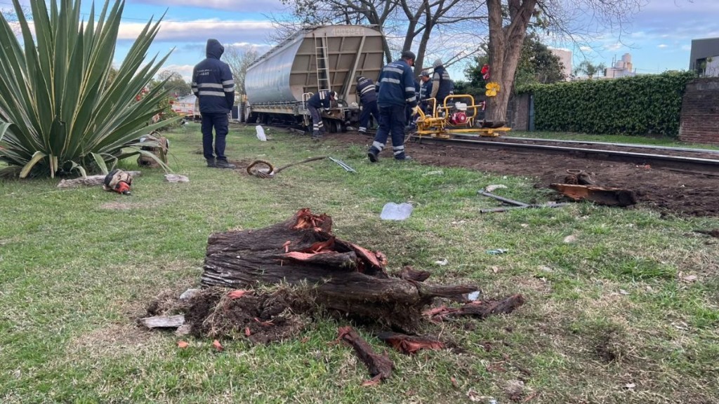 Descarril&oacute; el tren en Santa Fe: investigan si colocaron troncos sobre las v&iacute;as para provocarlo