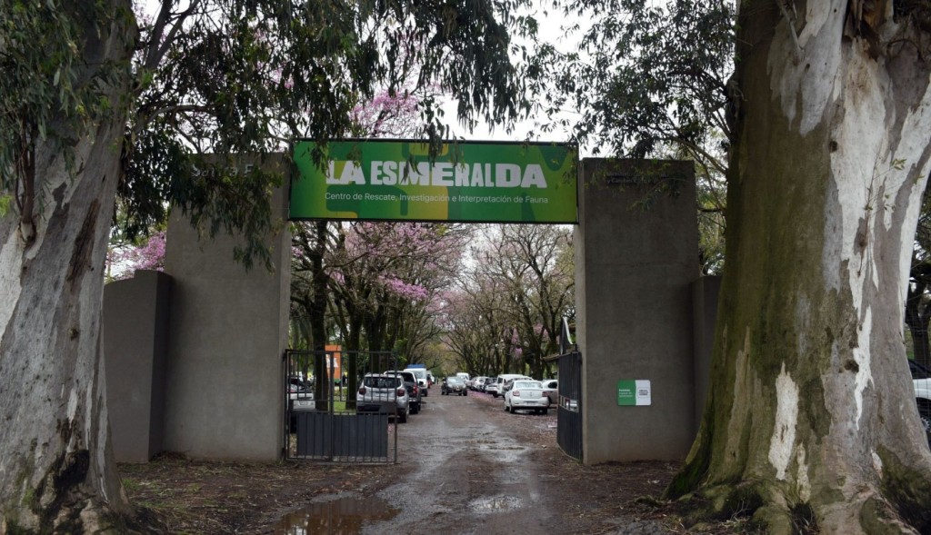 Transformaci&oacute;n de La Esmeralda: licitaron obras por m&aacute;s de $4.300 millones