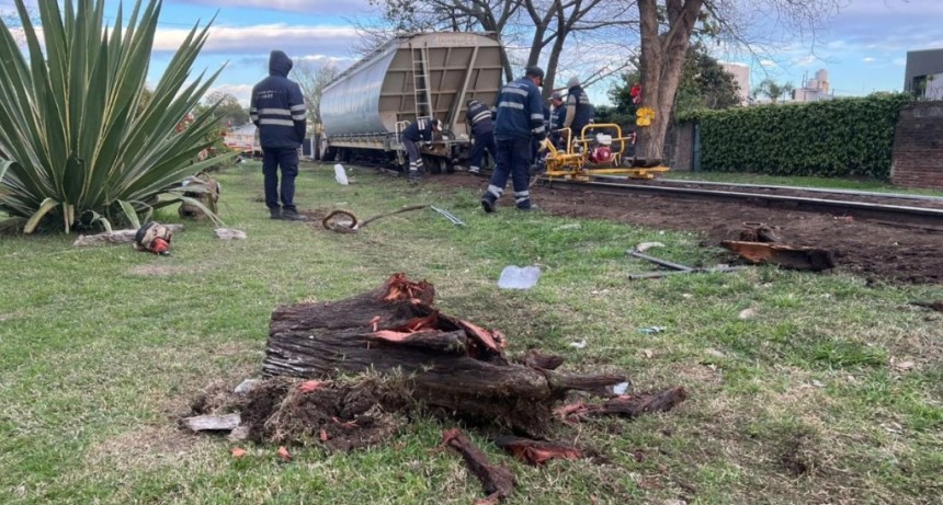 Descarril&oacute; el tren en Santa Fe: investigan si colocaron troncos sobre las v&iacute;as para provocarlo