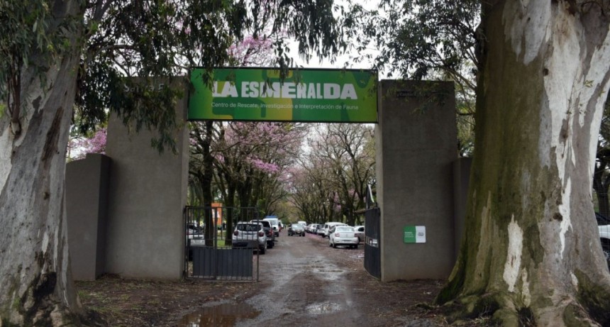 Transformaci&oacute;n de La Esmeralda: licitaron obras por m&aacute;s de $4.300 millones