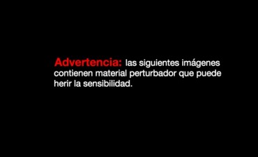 Video: transmitieron por Facebook a sus padres drogados con hero&iacute;na