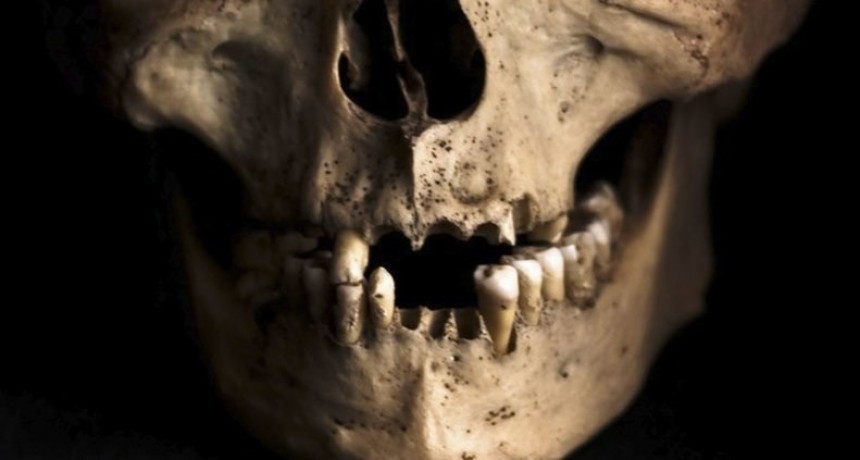 Obreros encontraron mil dientes humanos dentro de una pared