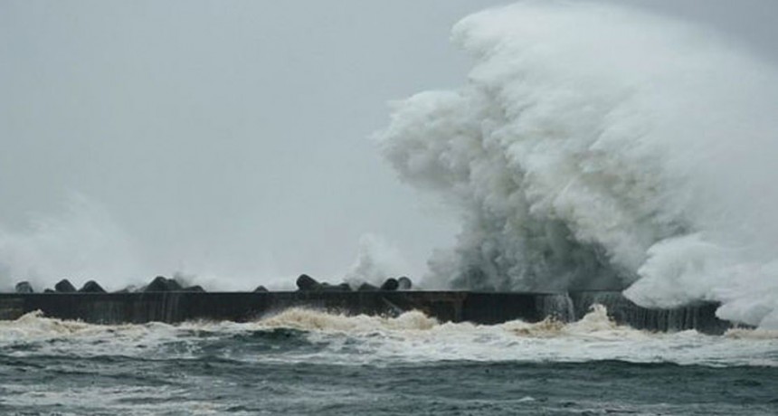 El tif&oacute;n Hagibis toc&oacute; Jap&oacute;n y lo definieron como la peor tormenta en 60 a&ntilde;os
