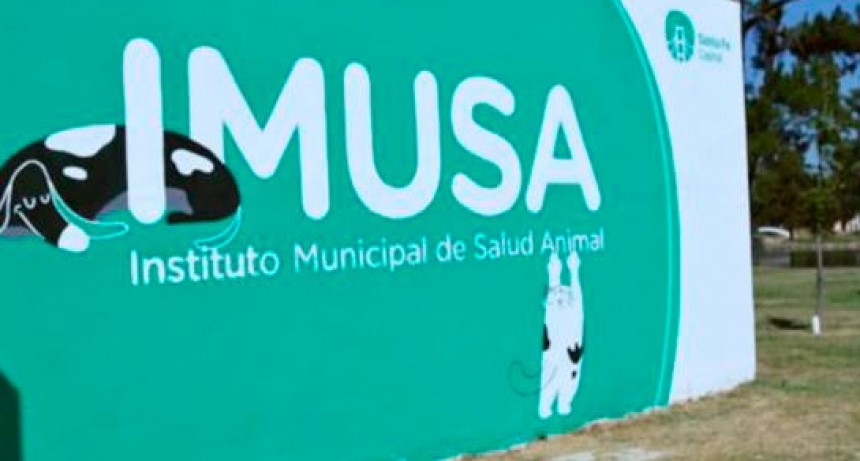 C&oacute;mo actuar frente a una situaci&oacute;n de maltrato animal