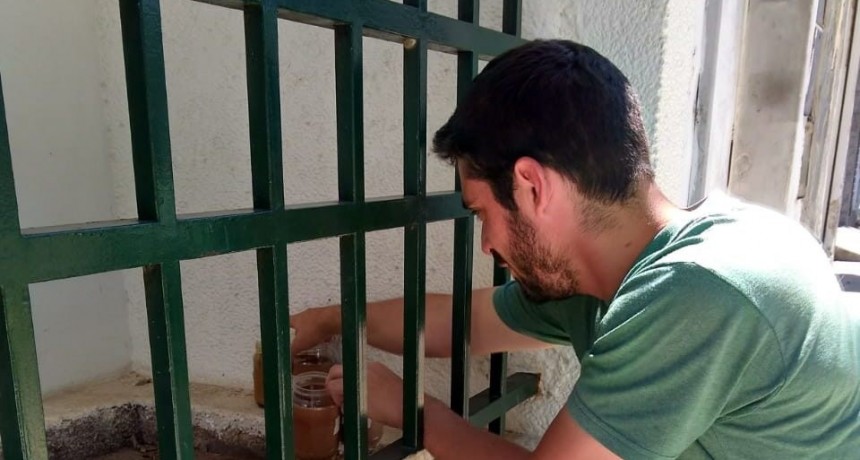 Dengue: la Municipalidad dispuso 100 puntos para monitorear el transmisor en la ciudad