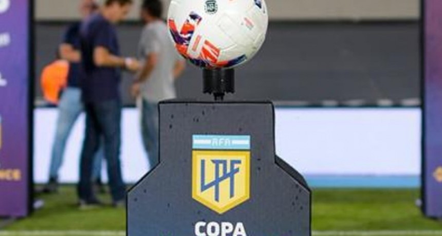 La Liga Profesional arrancar&aacute; a fines de enero y habr&aacute; tres descensos