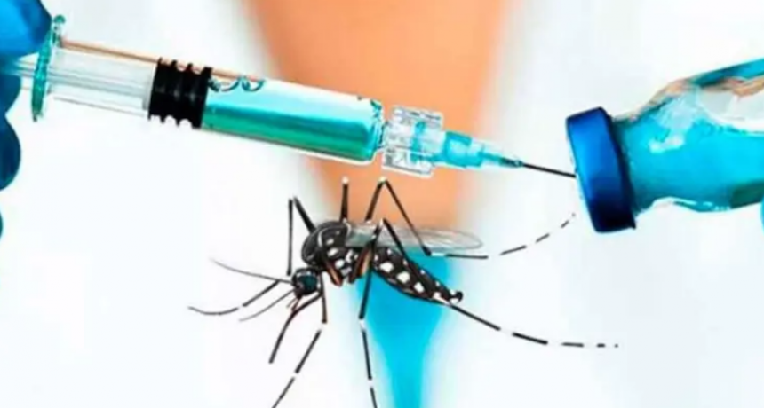 La vacuna contra el dengue estar&aacute; disponible antes de fin de a&ntilde;o en Santa Fe