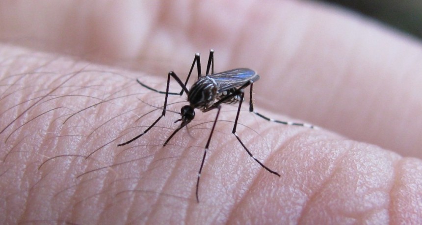 Empez&oacute; el calor, llegan las recomendaciones por el dengue