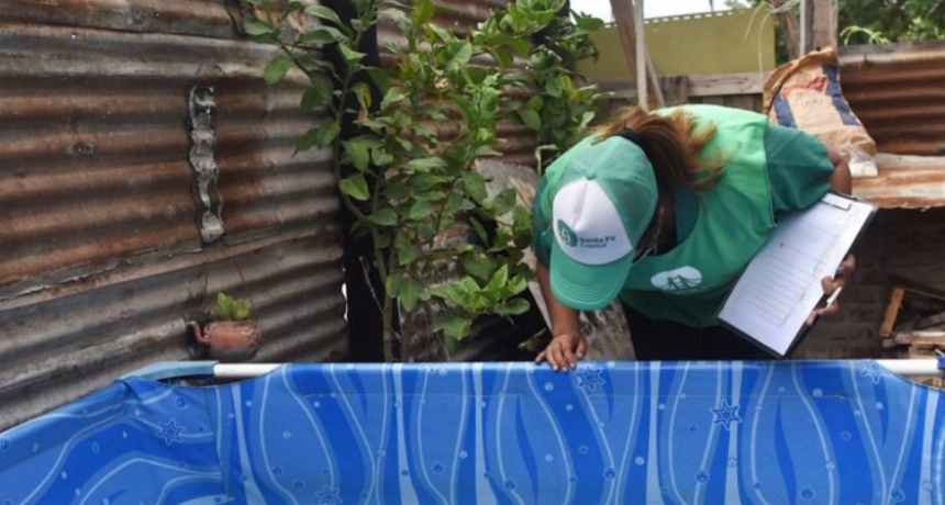 Se detect&oacute; la presencia del vector Aedes aegypti en dos barrios de Santa Fe