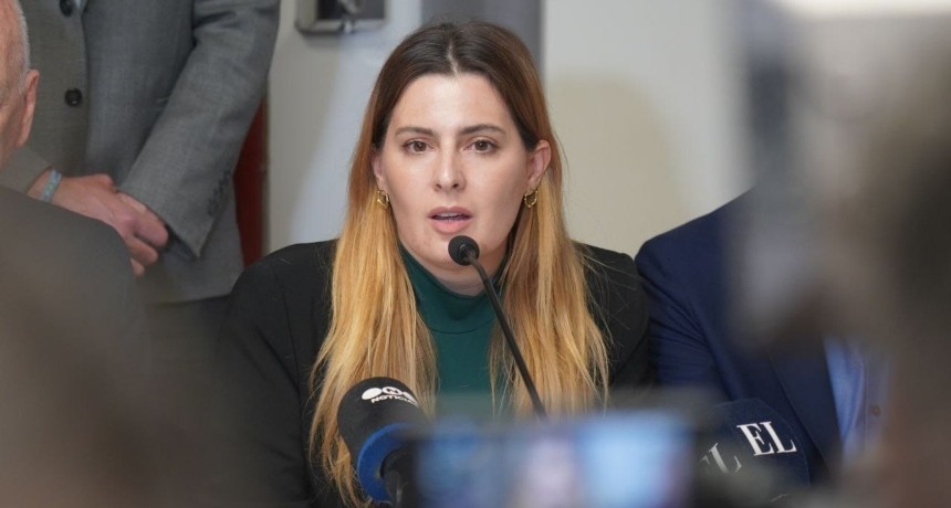 El Consejo de la Magistratura cit&oacute; a declarar a la diputada Cattalini por su denuncia contra el juez Bailaque