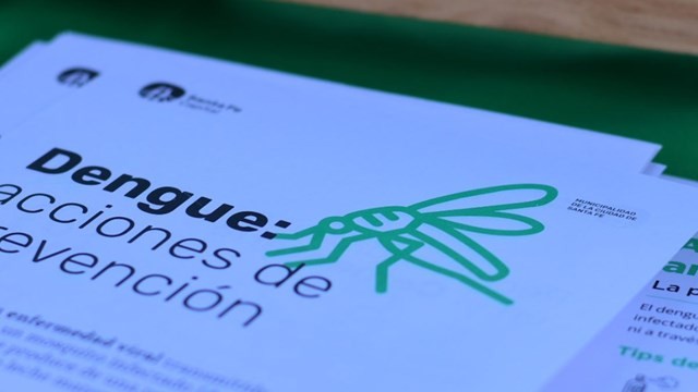 Dengue: confirman la presencia del mosquito en ocho barrios de la ciudad