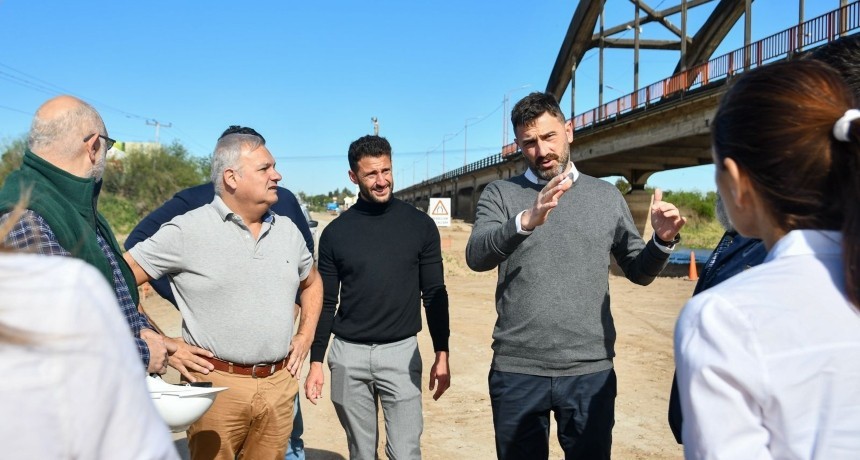 Nuevo puente Santa Fe -Santo Tomé: Provincia salvará más de 600 lapachos 