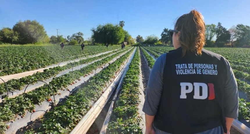 Explotaci&oacute;n laboral en Arroyo Leyes: continuar&aacute; detenido el due&ntilde;o del campo
