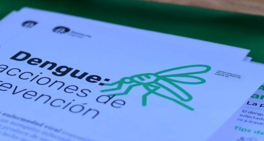 Dengue: confirman la presencia del mosquito en ocho barrios de la ciudad
