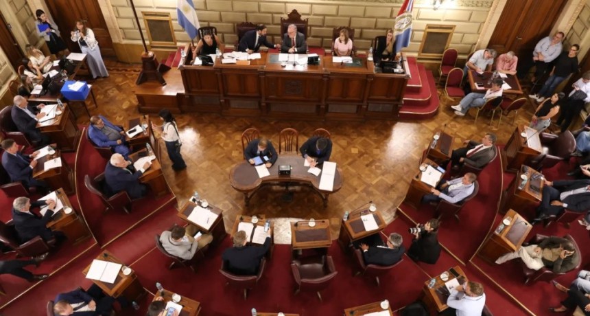 Violencia de g&eacute;nero: el Senado busca darle media sanci&oacute;n a una nueva ley en Santa Fe
